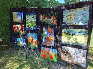 Exposition peinture aux Jardins de Cinquantie