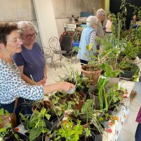 Personnes qui échangent des boutures au marché du Jardin de Cinquantie